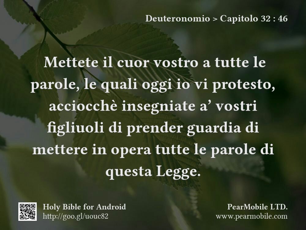 Deuteronomio, Capitolo 32:46
